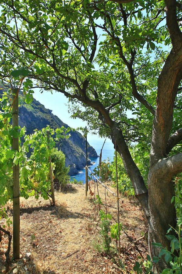 5 Terre For You Villa Riomaggiore Exterior photo